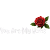 Du bist mein Zuhause, Rose