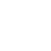 Gecko Linienzeichnung