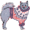 FINNISCHER SPITZ IM JUMPER