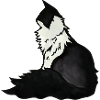 Mitternachtswolf-Porträt