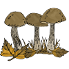 Pilze