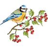 Bunter Vogel