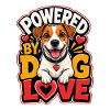 Jack Russell Terrier