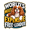 Kavallerier King Charles Spaniel
