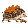 Igel mit Herbstblatt