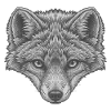 graues polarfuchs gesicht, Linienkunst Schwarzweiß