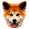 akita inu-Gesicht Illustration