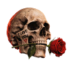 Totenkopf-und-Rosen-Liebe