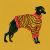 WHIPPET IN STREIFEN