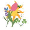 Blumen botanisch Pflanze Zeichnung
