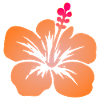 Tropische Blumen