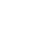 Gecko Silhouette Kontrast
