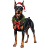 Dobermann Hund an Weihnachten 