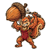 BodyBuilding Eichhörnchen