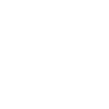 Rockender Waschbär