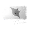 Mantarochen