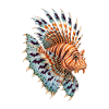 Feuerfisch mit Nachtfächern
