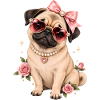 Mops Hund süßer Mops niedlicher Mops