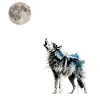 Mond ,Wolf