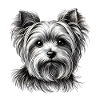 Yorkie Porträt