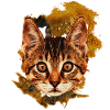Dungeon Magier Katze Fantasy T-Shirt