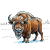 Wisent im Eisfeld