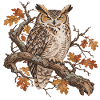 Weise Eule im Herbstzweig