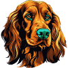 Farbiges Hundeporträt Spaniel