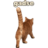 Gadse