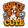 Kavallerier King Charles Spaniel