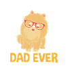 Zwergspitz Pomeranian Papa