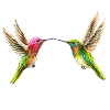 Zwei Kolibris (handpainted)