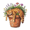 Siesta Katze