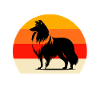 Team Langhaar Collie