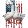 Goose US Gans