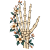Blühende Skeletthand – Radiologie