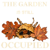 Der Garten ist noch immer besetzt