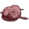 Tiefsee Monster - Blobfisch
