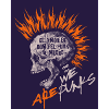 We are punks