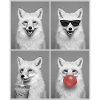 Polarfüchse Polarfuchs