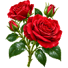 Crimson Rose Bouquet-Kunstwerk