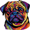 Farbexplosion Pug Portrait