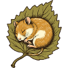 Haselmaus im Herbstblatt