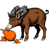 Wildschwein an der Birne