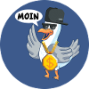 Moin Coole Hip Hop Möwe