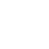 Geige Andrey