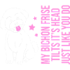 Bichon Frise Hund