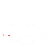 Bichon Frise Hund