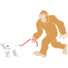 Bichon Frise