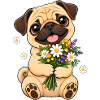 Mops Hund süßer Mops niedlicher Mops